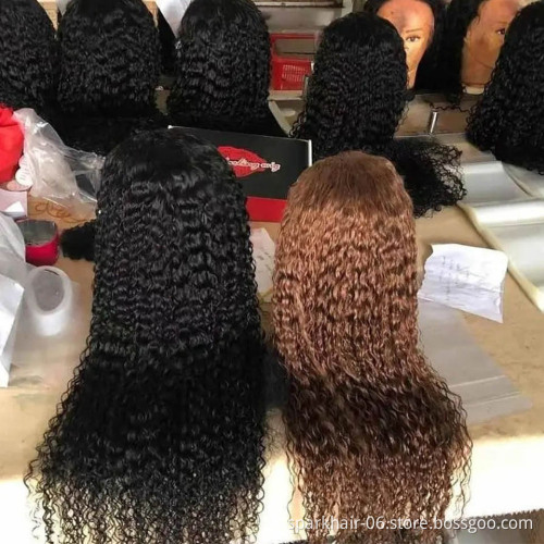 Unprocessed Brazilian Human Hair HD Full Lace Curly Wig Vendors,Water Wave Cuticle Aligned 100% Virgin Hair Wigs For Black Women